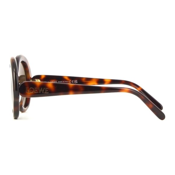 New LOEWE Thin Havana Round LW40135I 52E Sunglasses Women - Picture 3 of 4